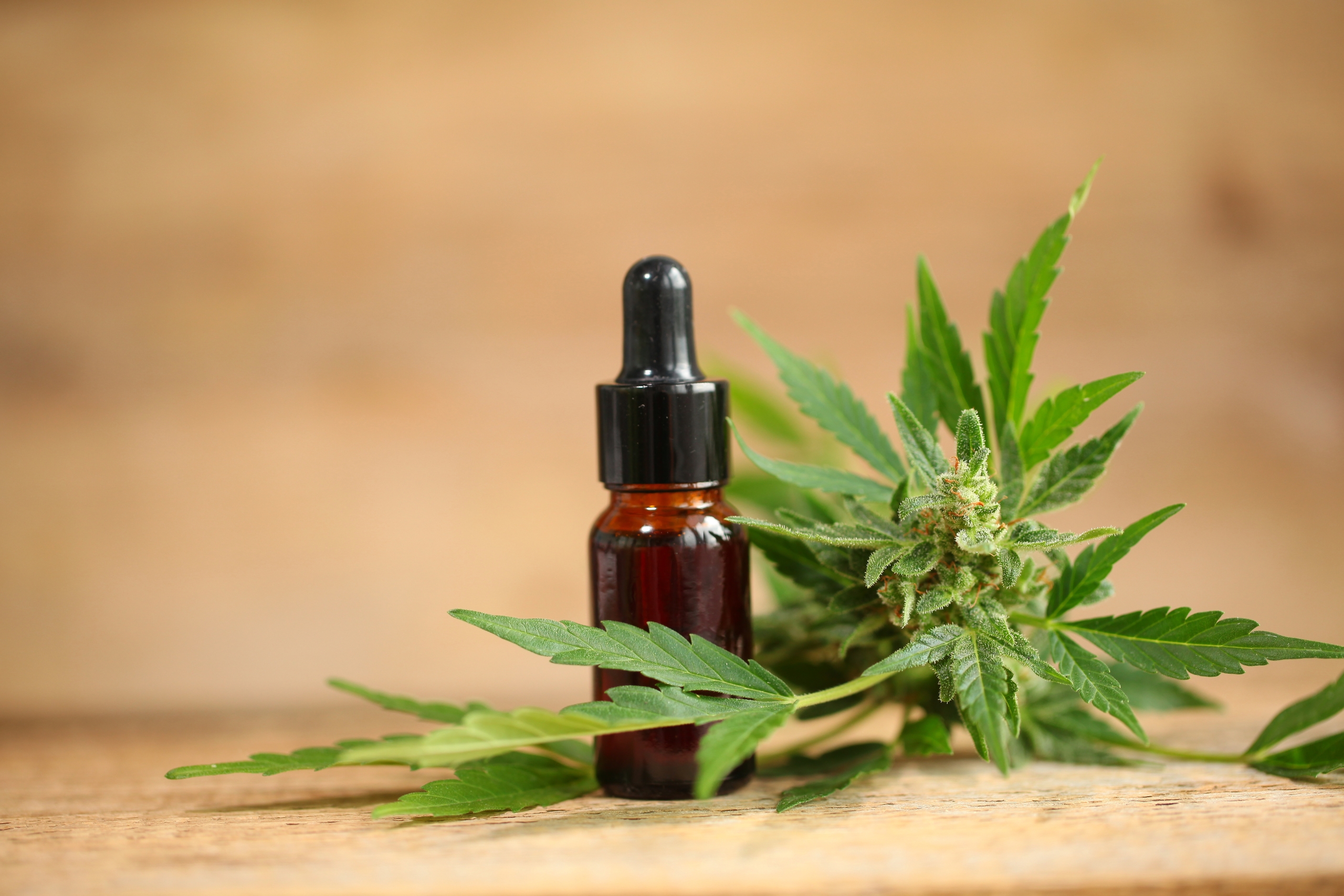 Den Nye Veien Til Velvære: CBD Olje I Norge Som Et Naturlig Valg